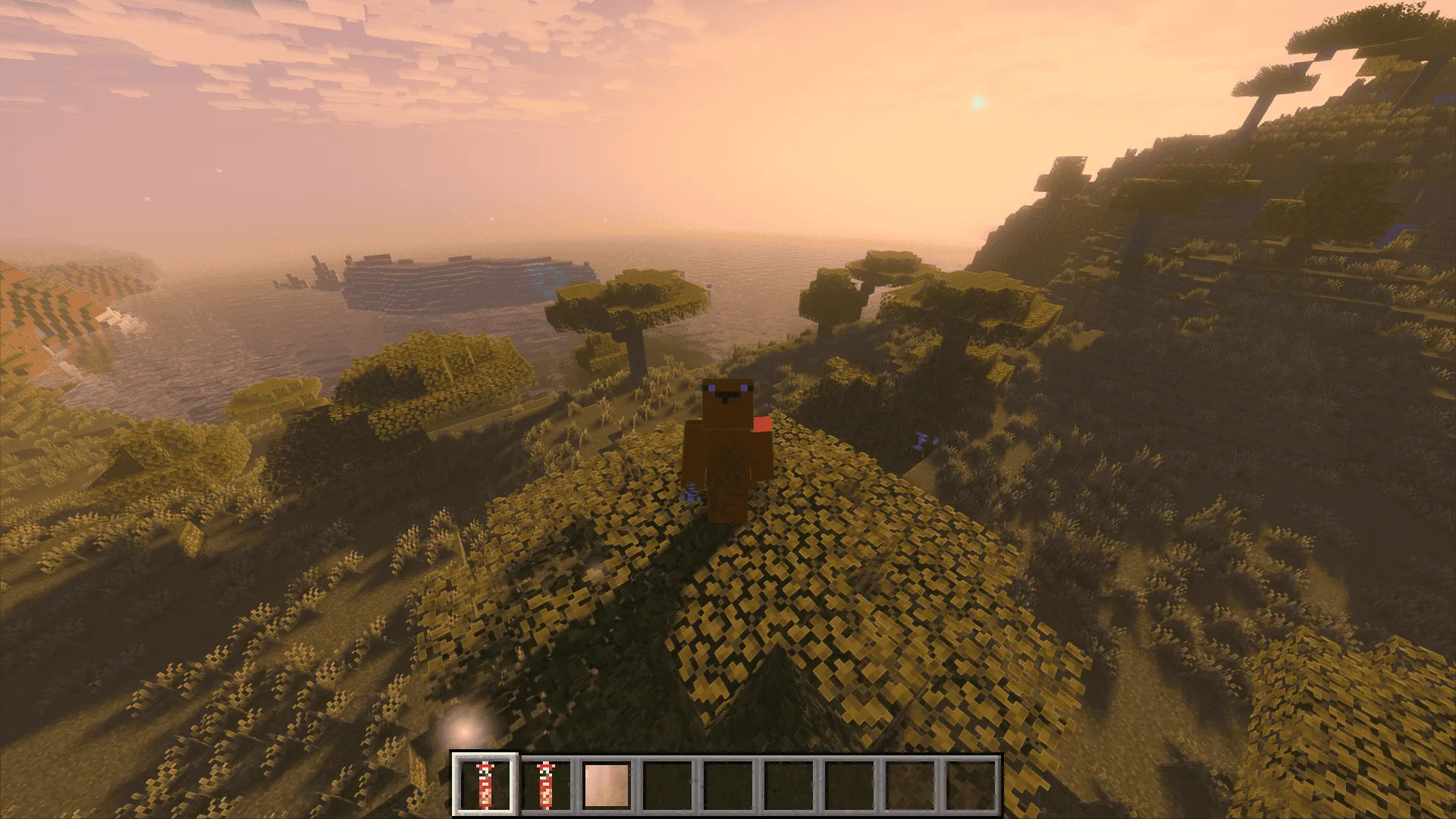 Pringles Can, Моды, Minecraft