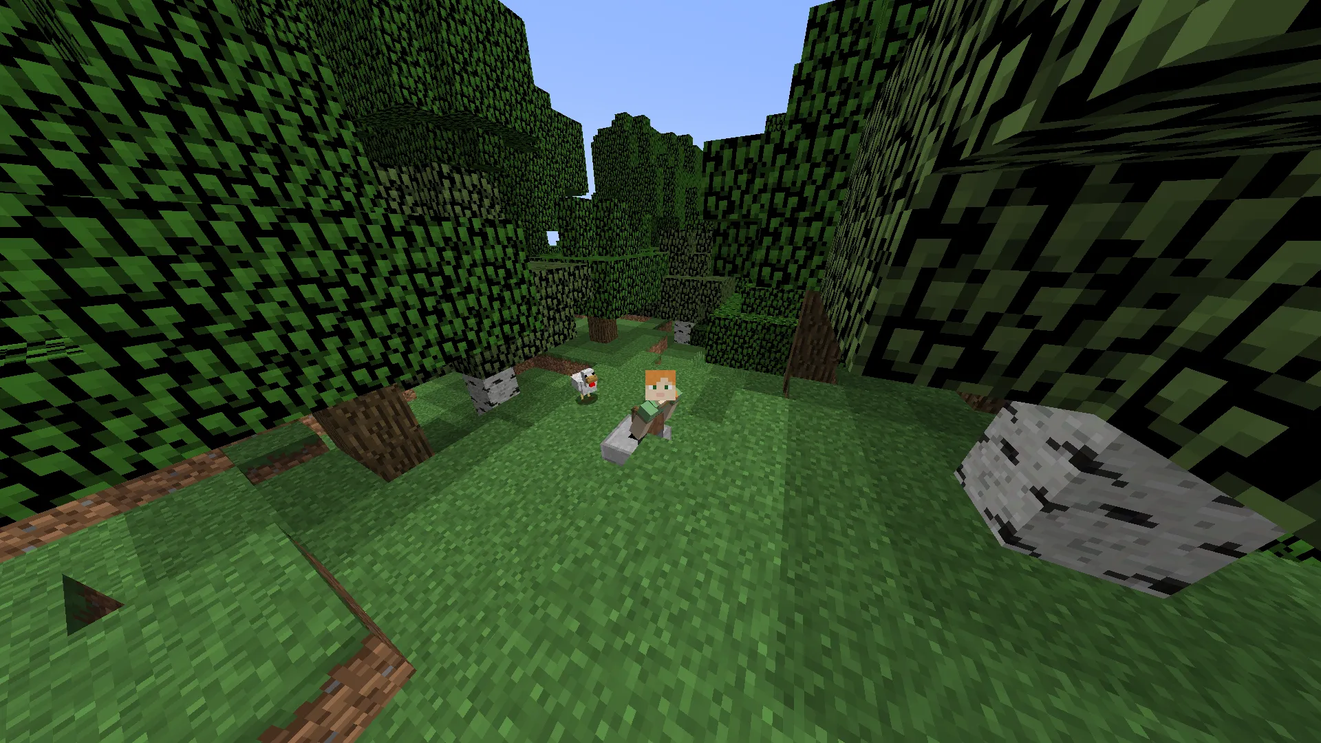 PoleHole, Моды, Minecraft