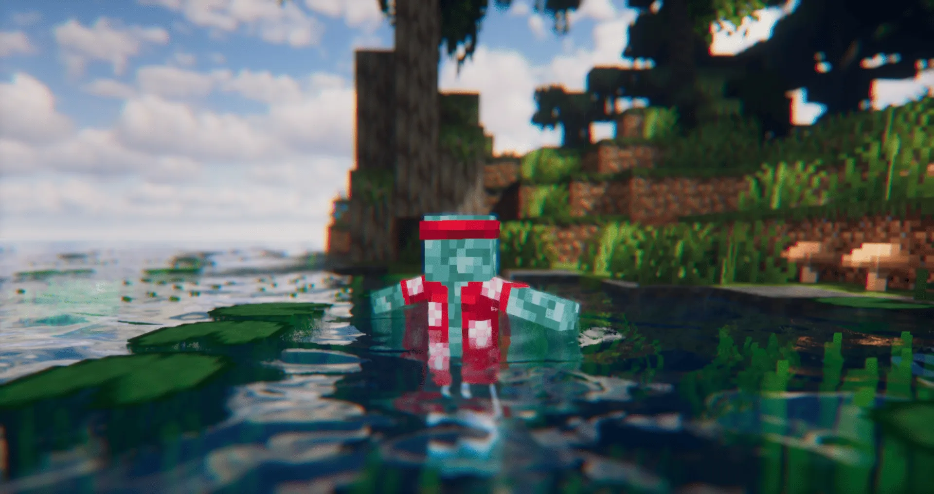 Detailed Animations Tester, Текстуры, Minecraft