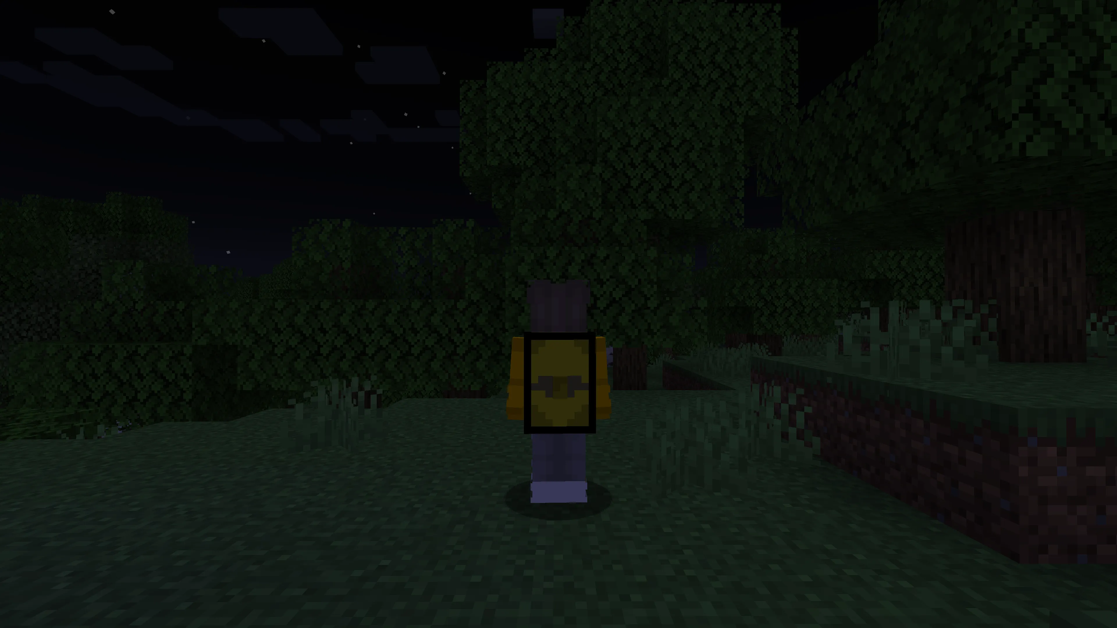 Timmothy's Backpacks!, Моды, Minecraft