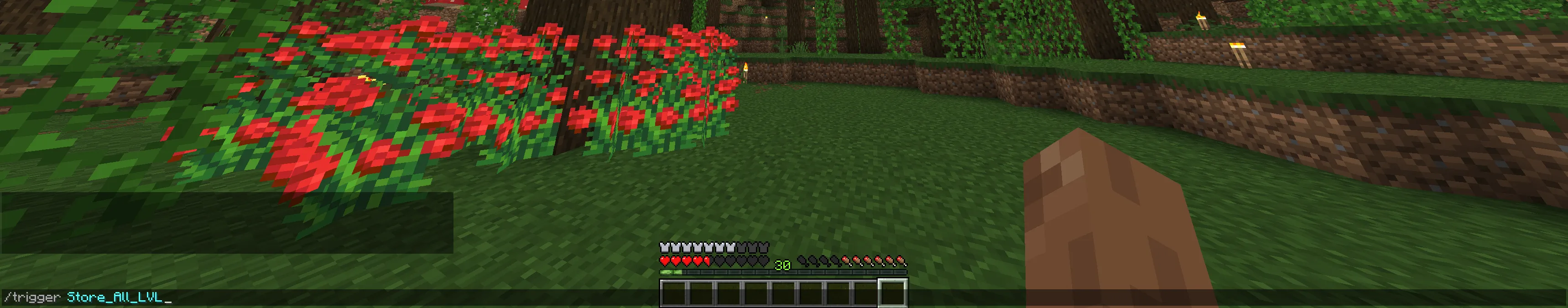 Xp Bottler, Дата-паки, Minecraft