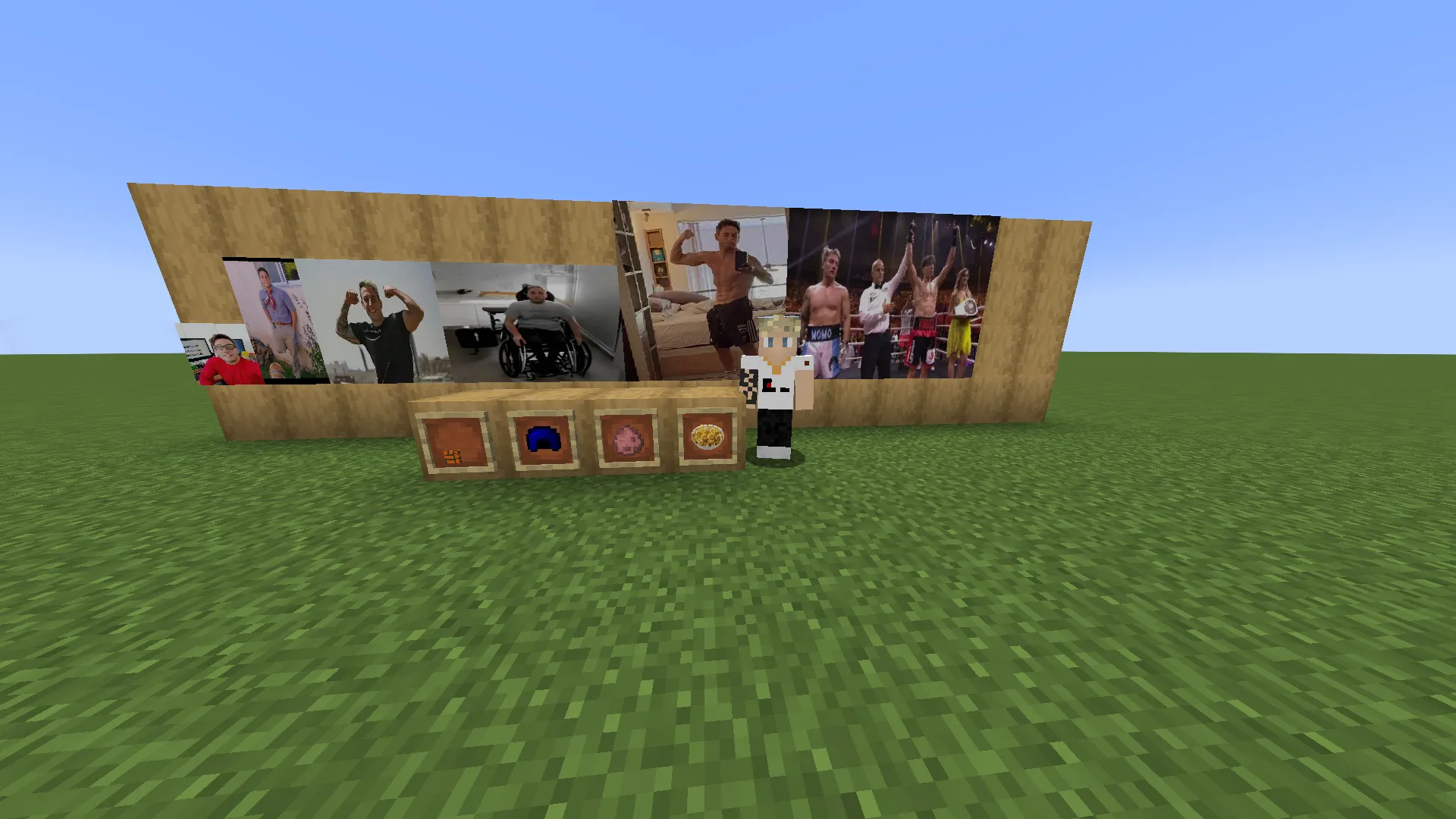 ModMomo, Моды, Minecraft