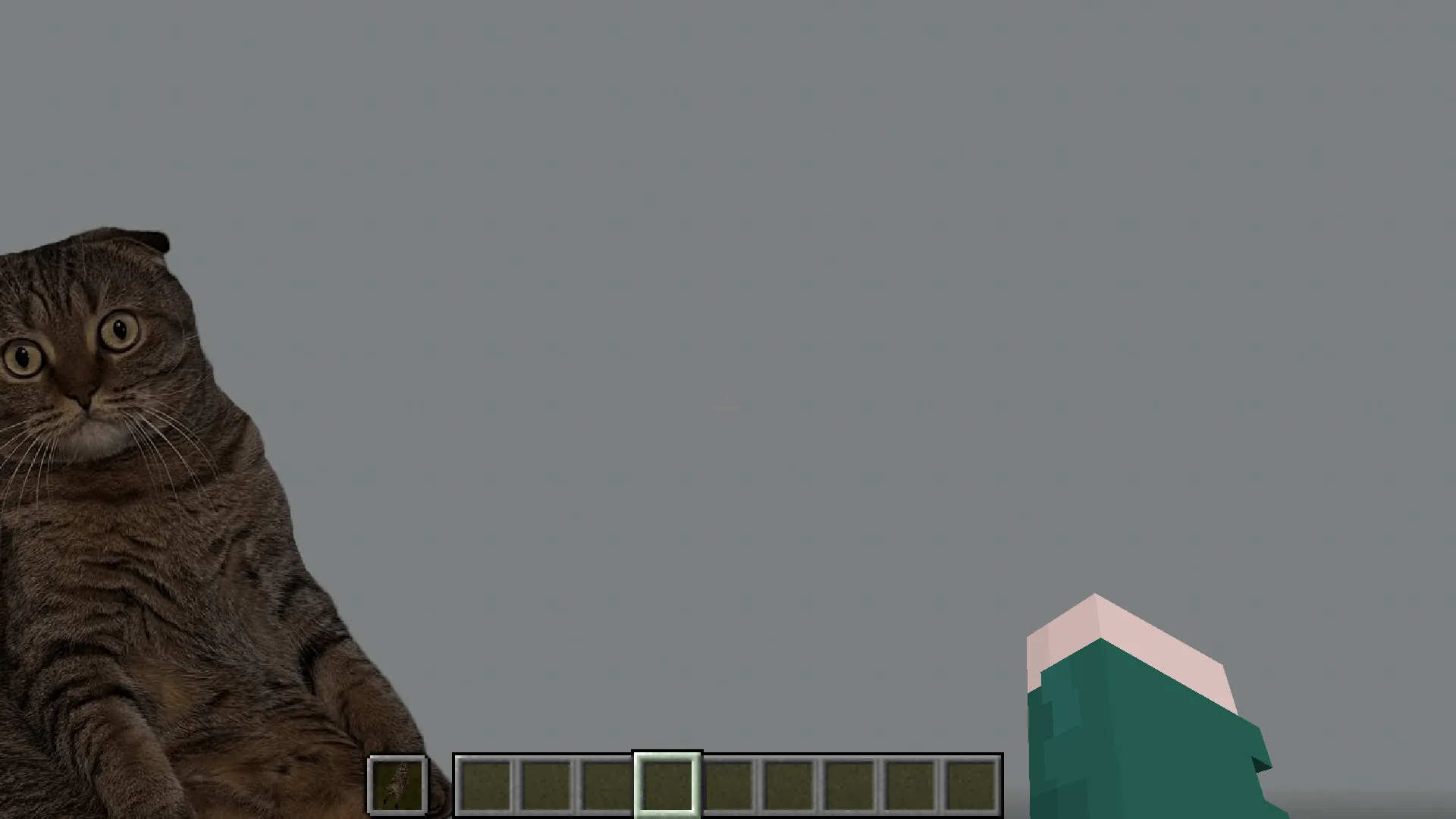 Tiger, Текстуры, Minecraft