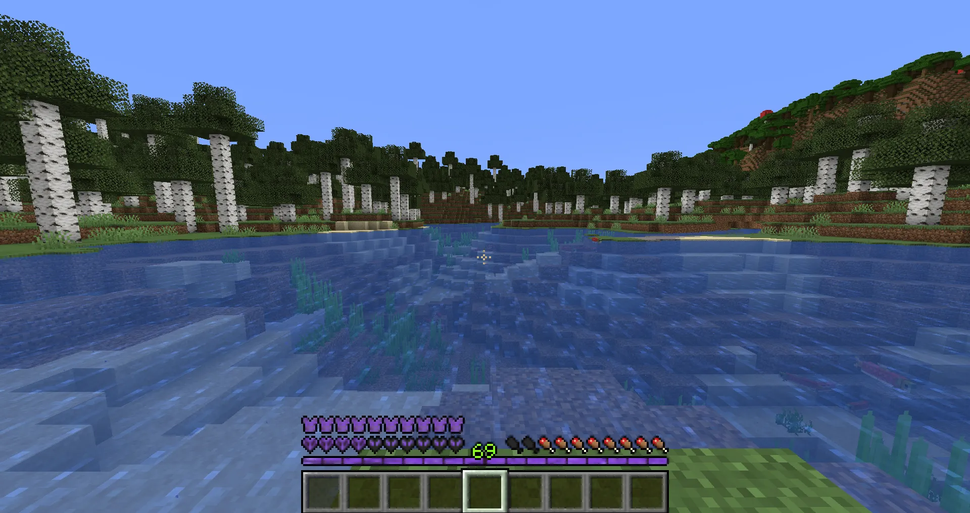 WASH3D's Enchanted Netherite XP Bar, Текстуры, Minecraft