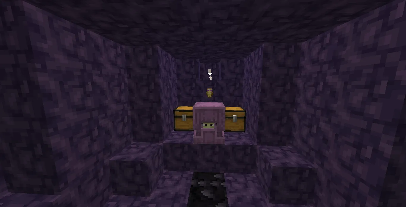 Detail Update, Моды, Minecraft