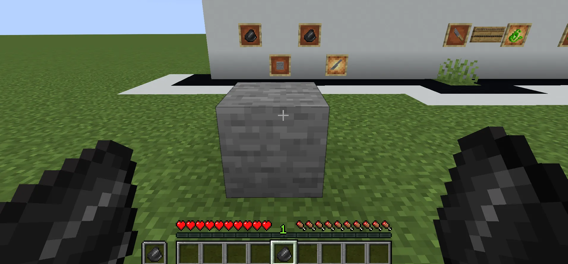 Bibliomania, Моды, Minecraft