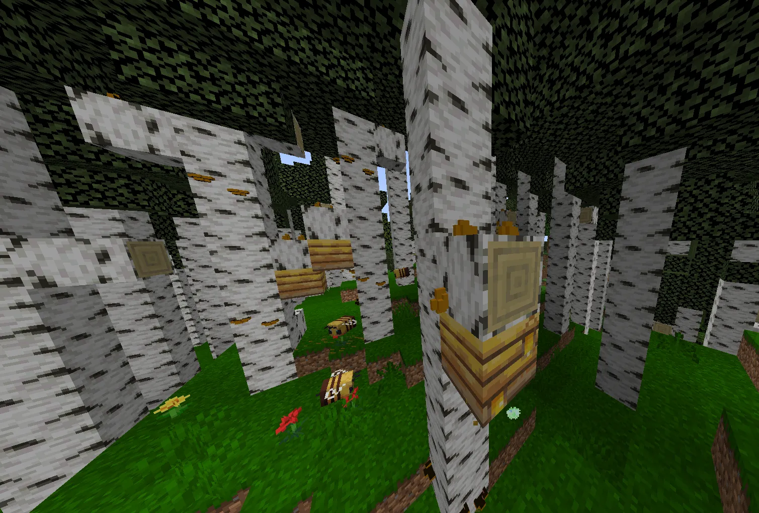 birch forest, Моды, Minecraft
