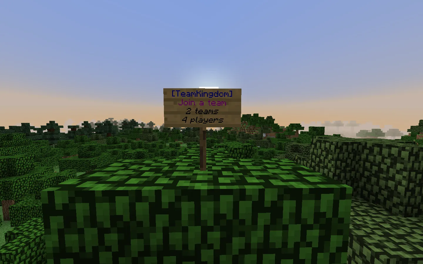 Team Kingdom — скриншот 1 (Плагины, Minecraft)