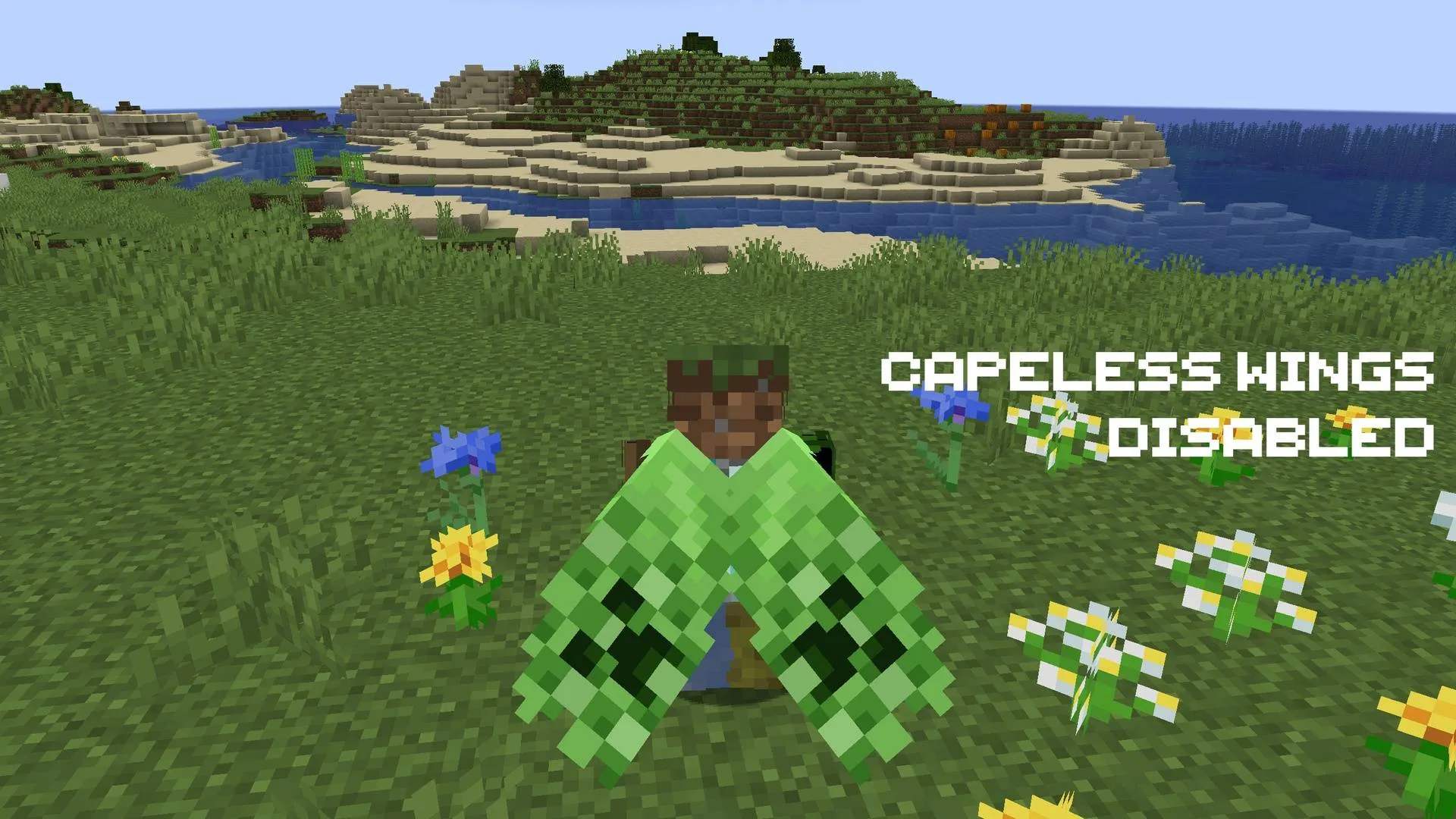 Capeless Wings, Текстуры, Minecraft