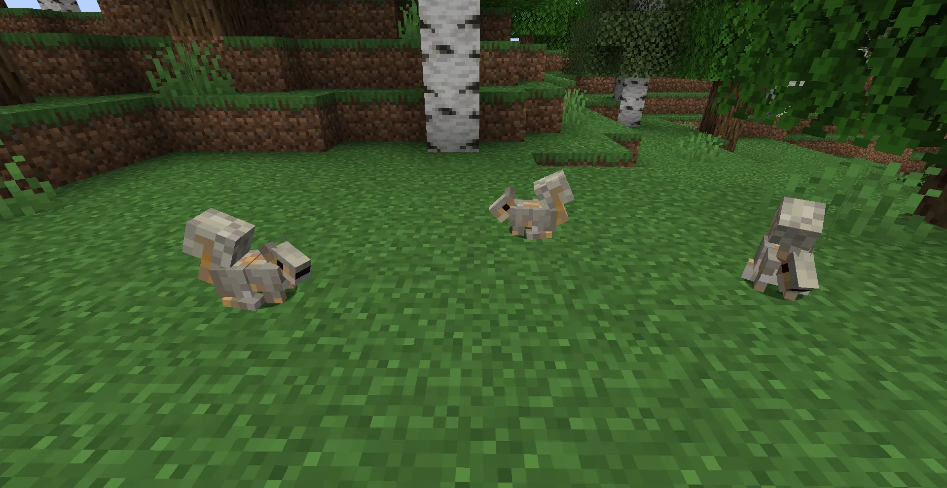 Fall Foraging, Моды, Minecraft