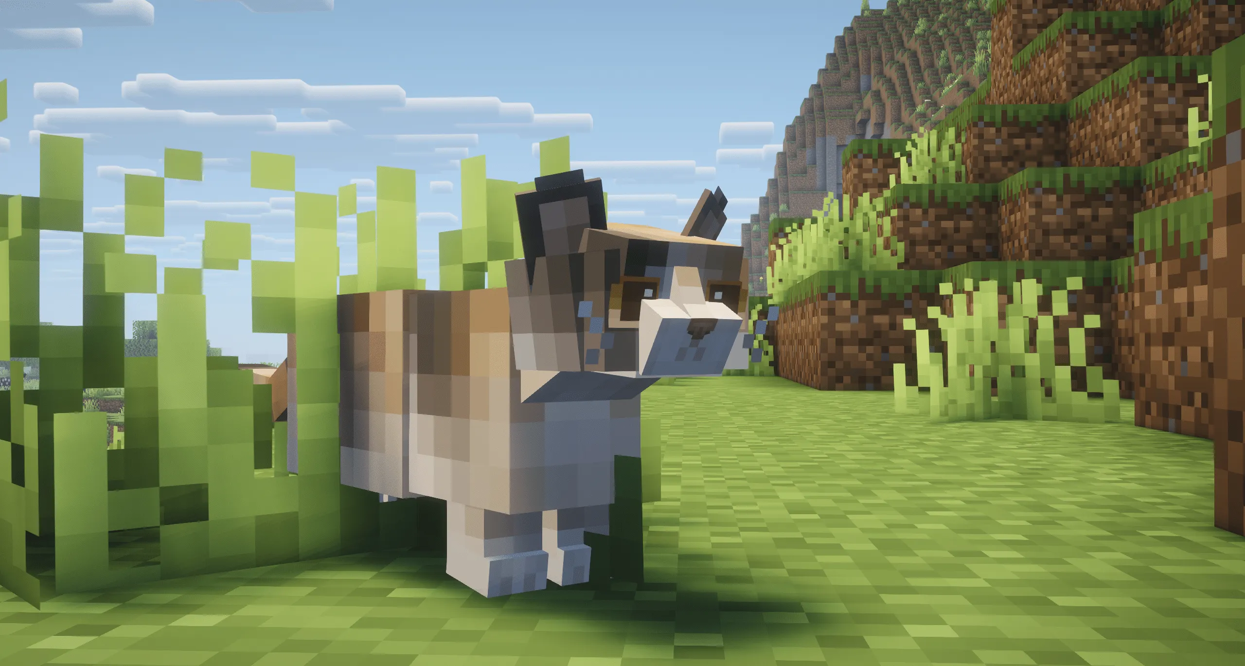 Refined Cats, Текстуры, Minecraft