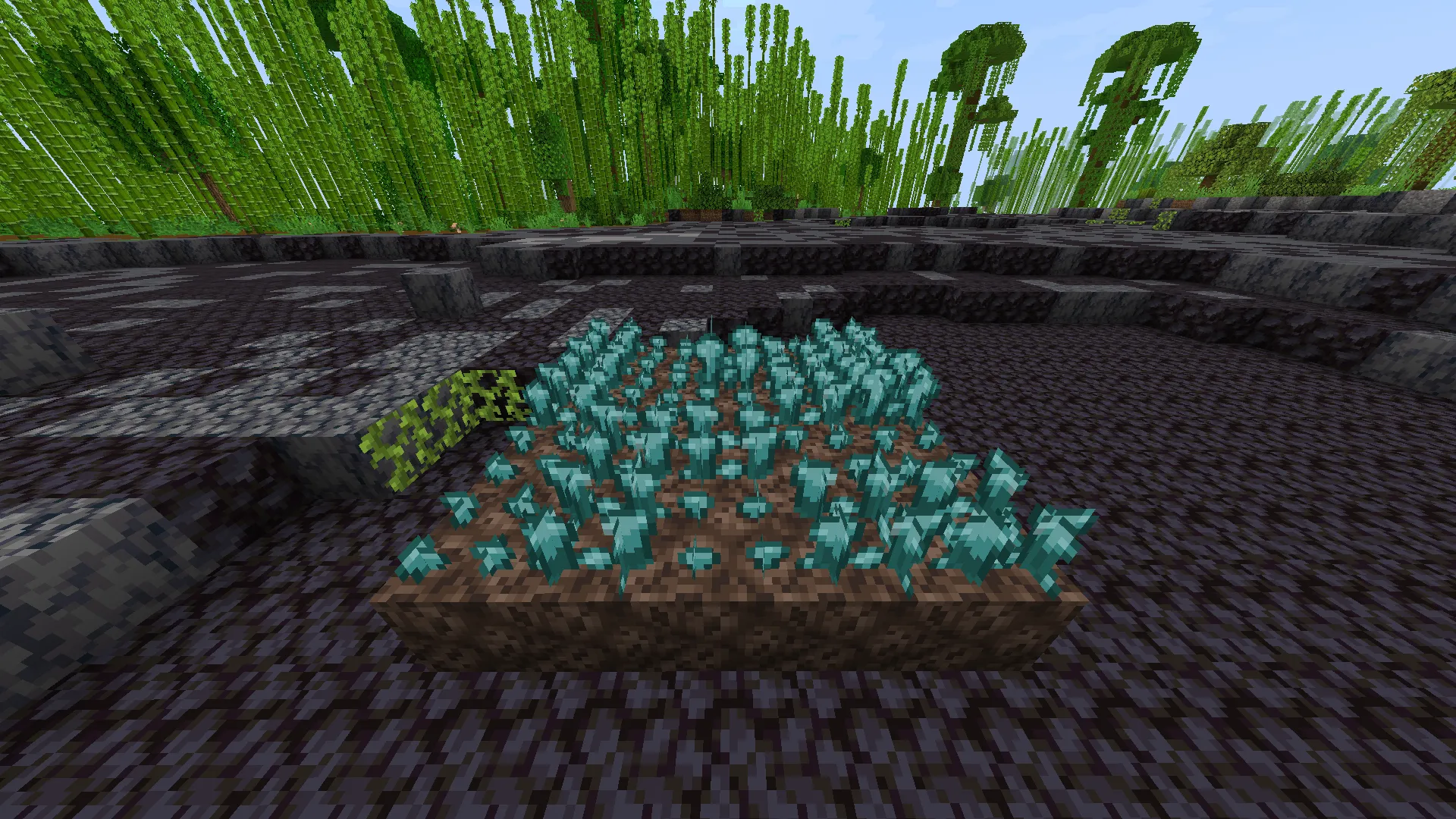 JS' Consistency, Моды, Minecraft