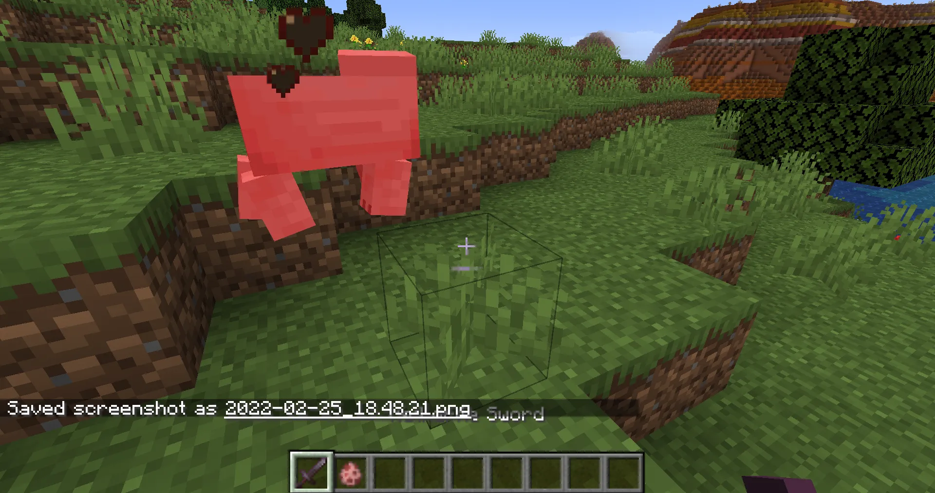 LifeBars, Моды, Minecraft