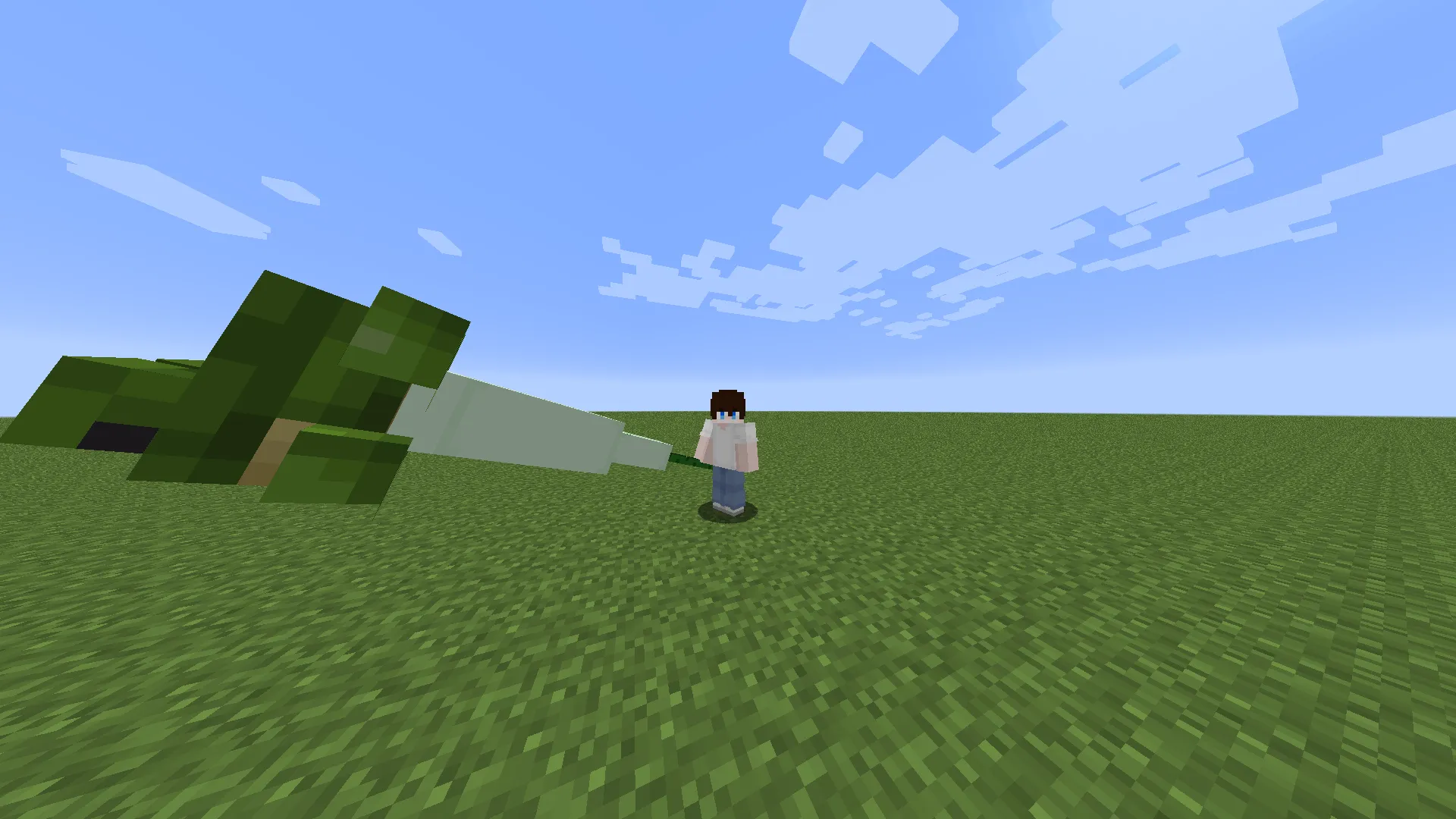 Lucky Block Anime, Кастомизации, Minecraft