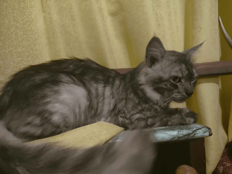 Max Villager Enchants, Моды, Minecraft