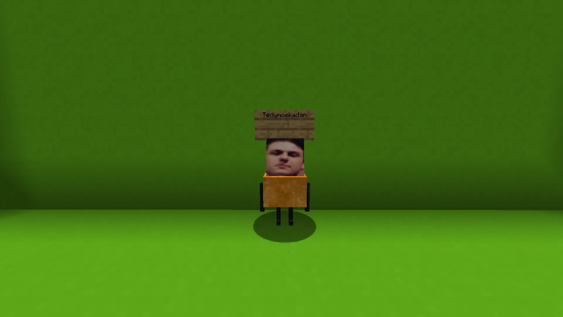 TedymcekAdam(FORGE), Моды, Minecraft