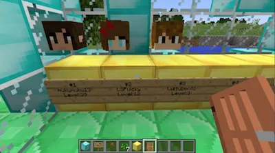 TopTenHeads — скриншот 1 (Плагины, Minecraft)