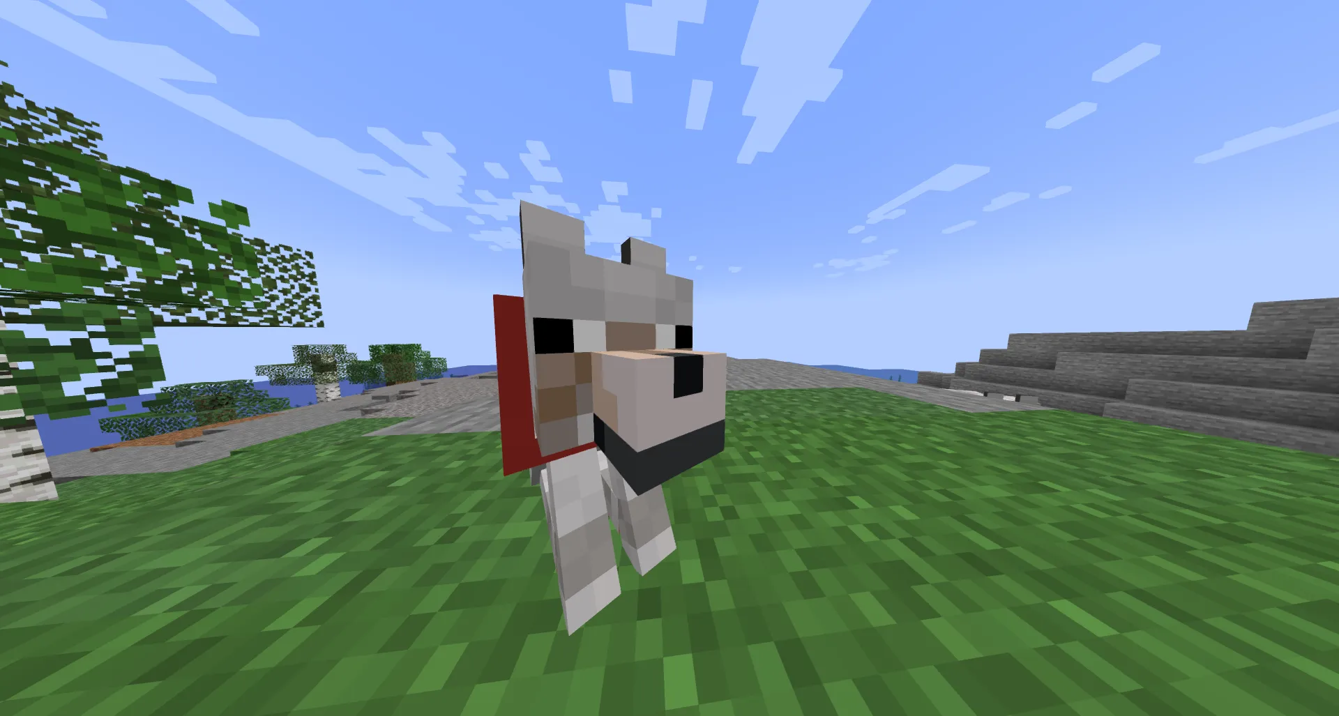 Derpify, Текстуры, Minecraft