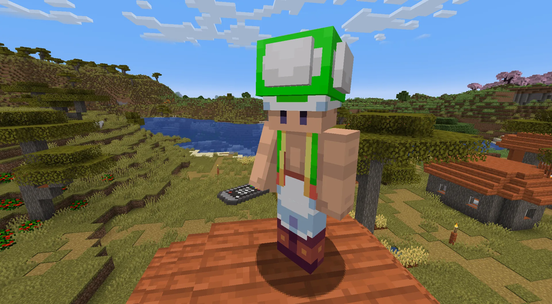Mario Clothing Mod, Моды, Minecraft