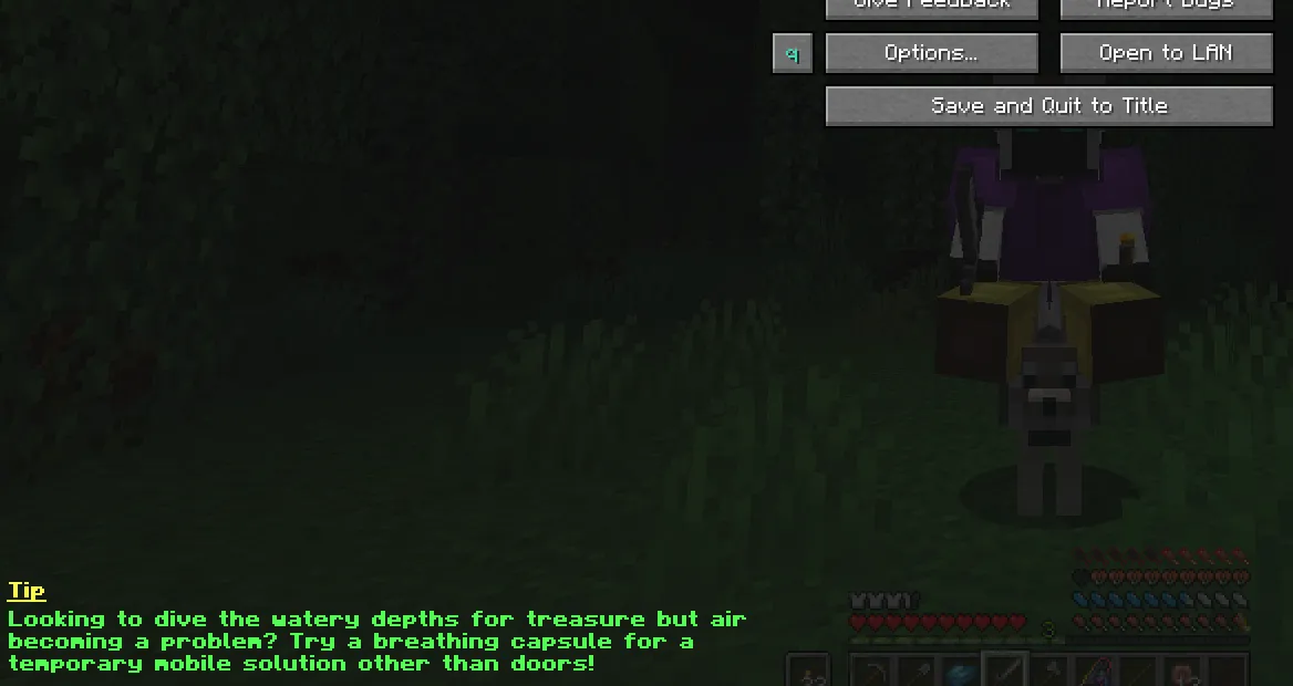 Order of All Creation: Relic Hunters, Модпаки, Minecraft