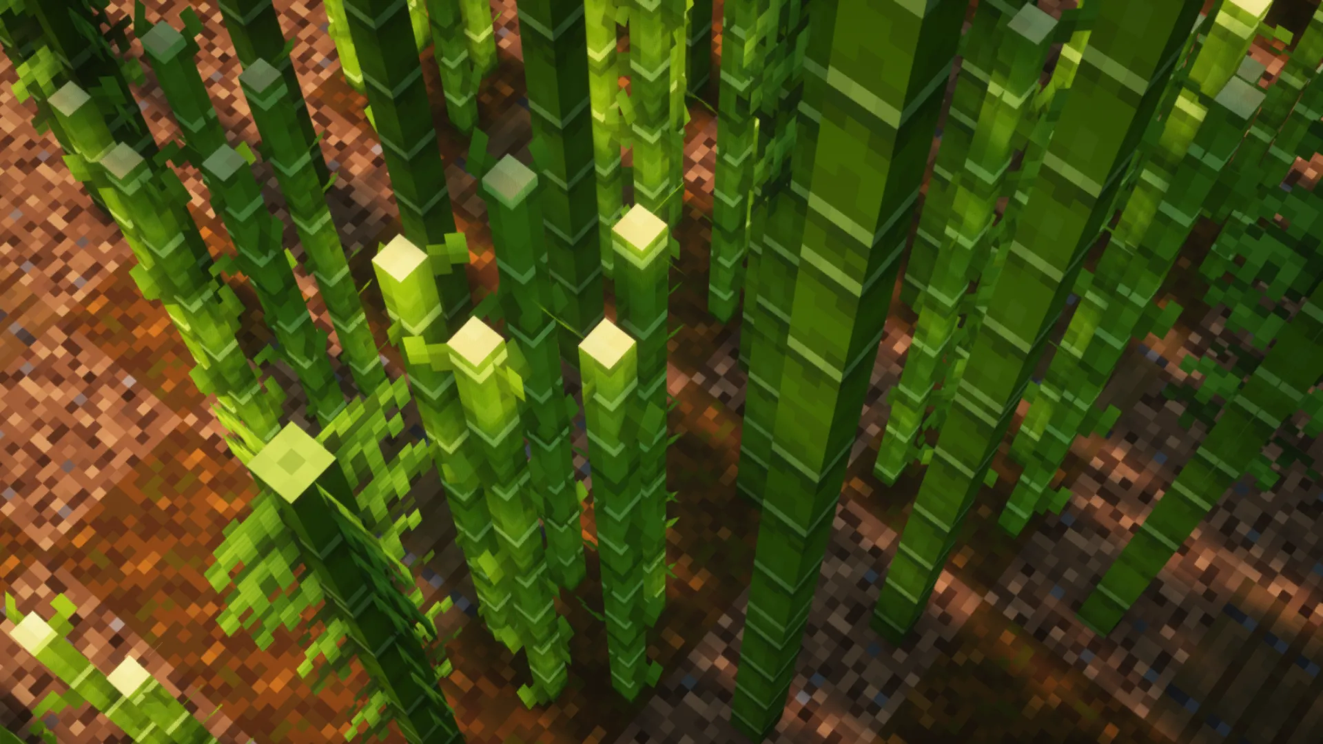 Superior Sugar Cane — скриншот 1 (Текстуры, Minecraft)