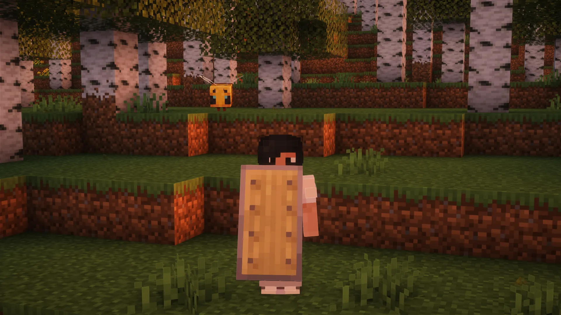 Woodtype Shields, Текстуры, Minecraft