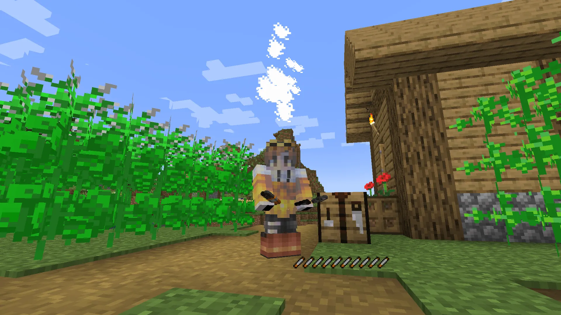 Immersive Addictives, Моды, Minecraft