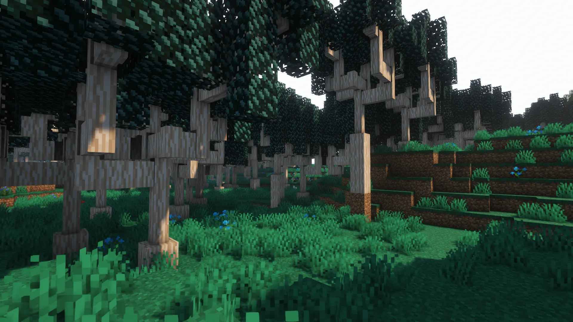 Biomes far away!, Моды, Minecraft