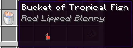 Advanced Tooltips, Моды, Minecraft