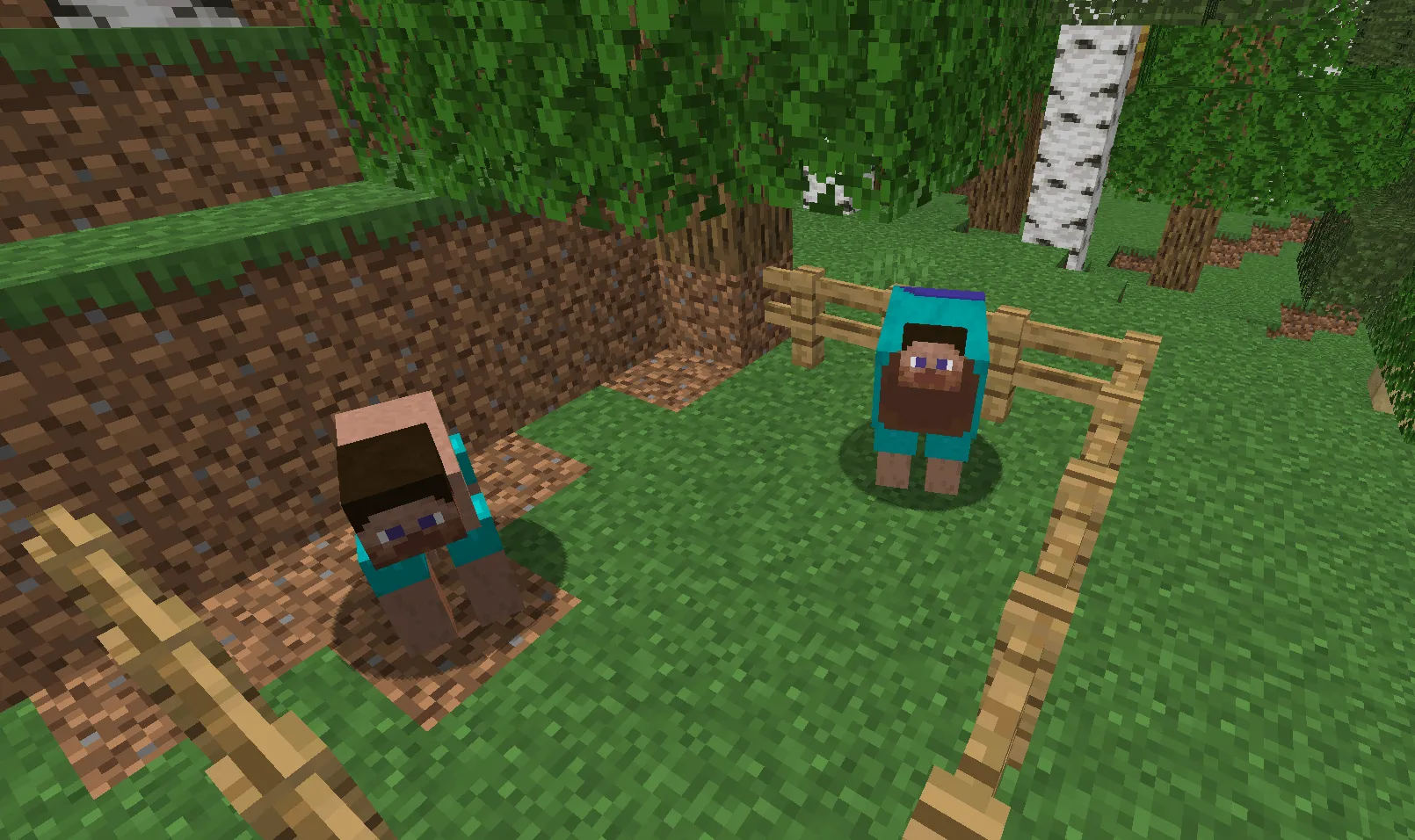 Everyone is Steve, Текстуры, Minecraft
