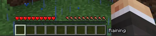 WeatherDisplay, Моды, Minecraft