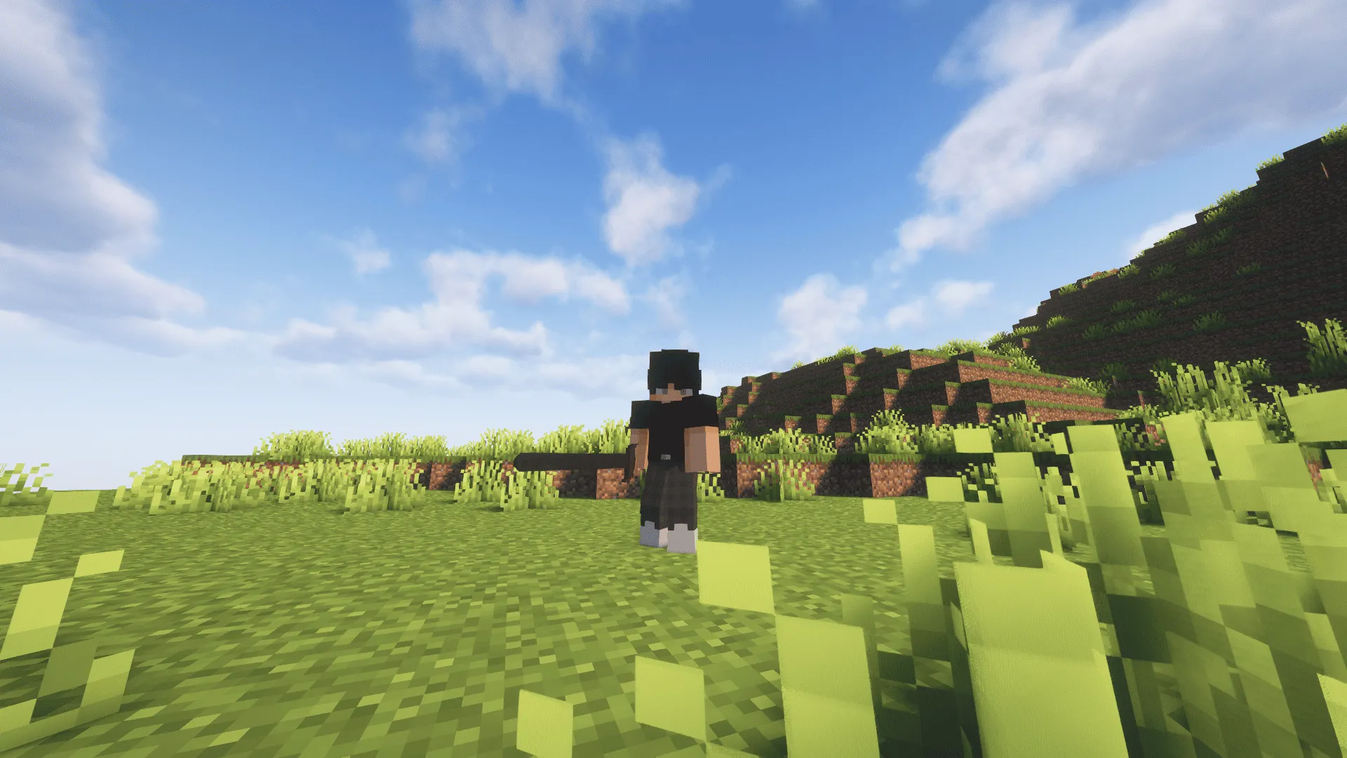 Savage Blood Magic, Моды, Minecraft
