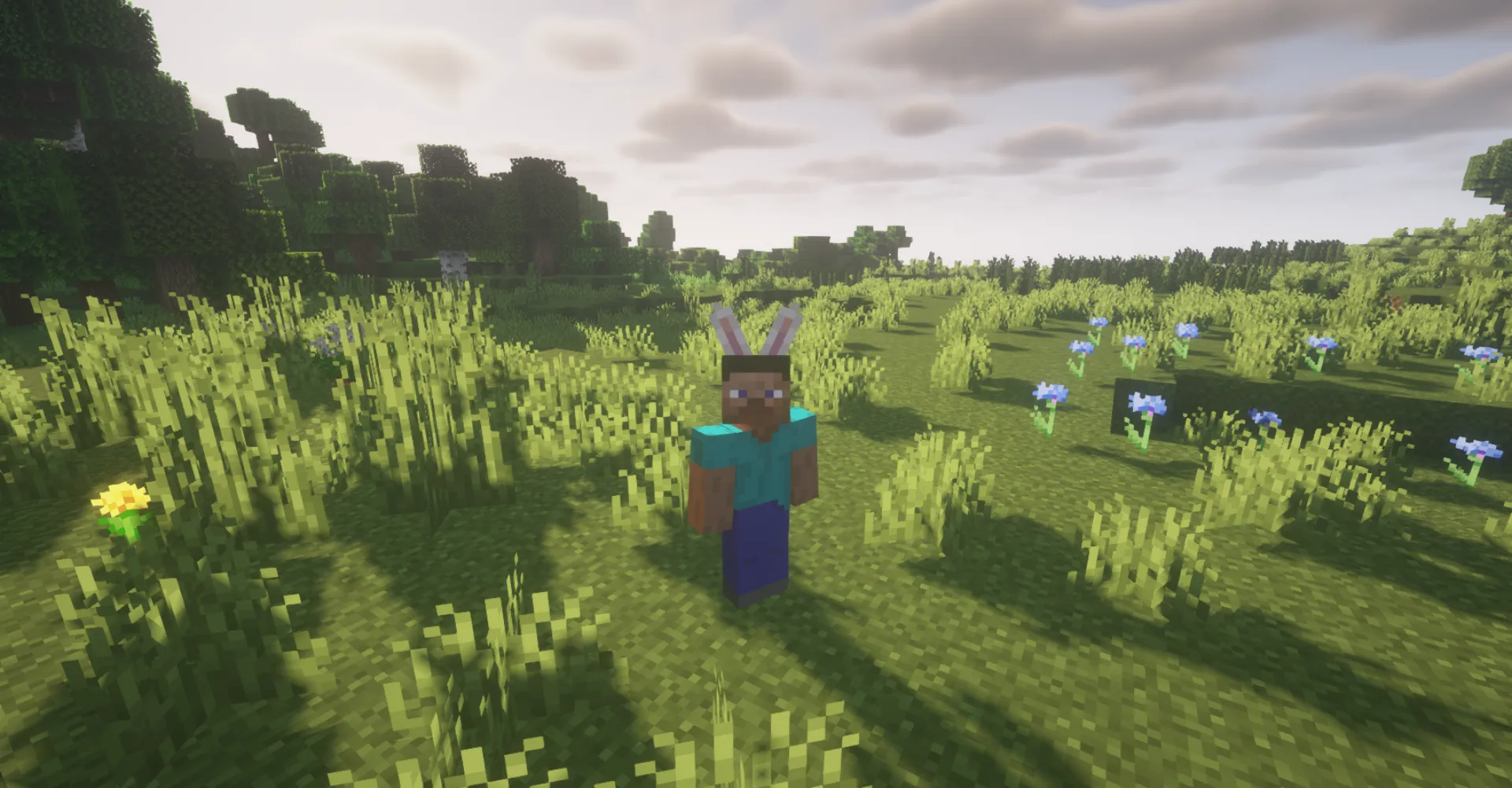 Beastly Attire, Моды, Minecraft