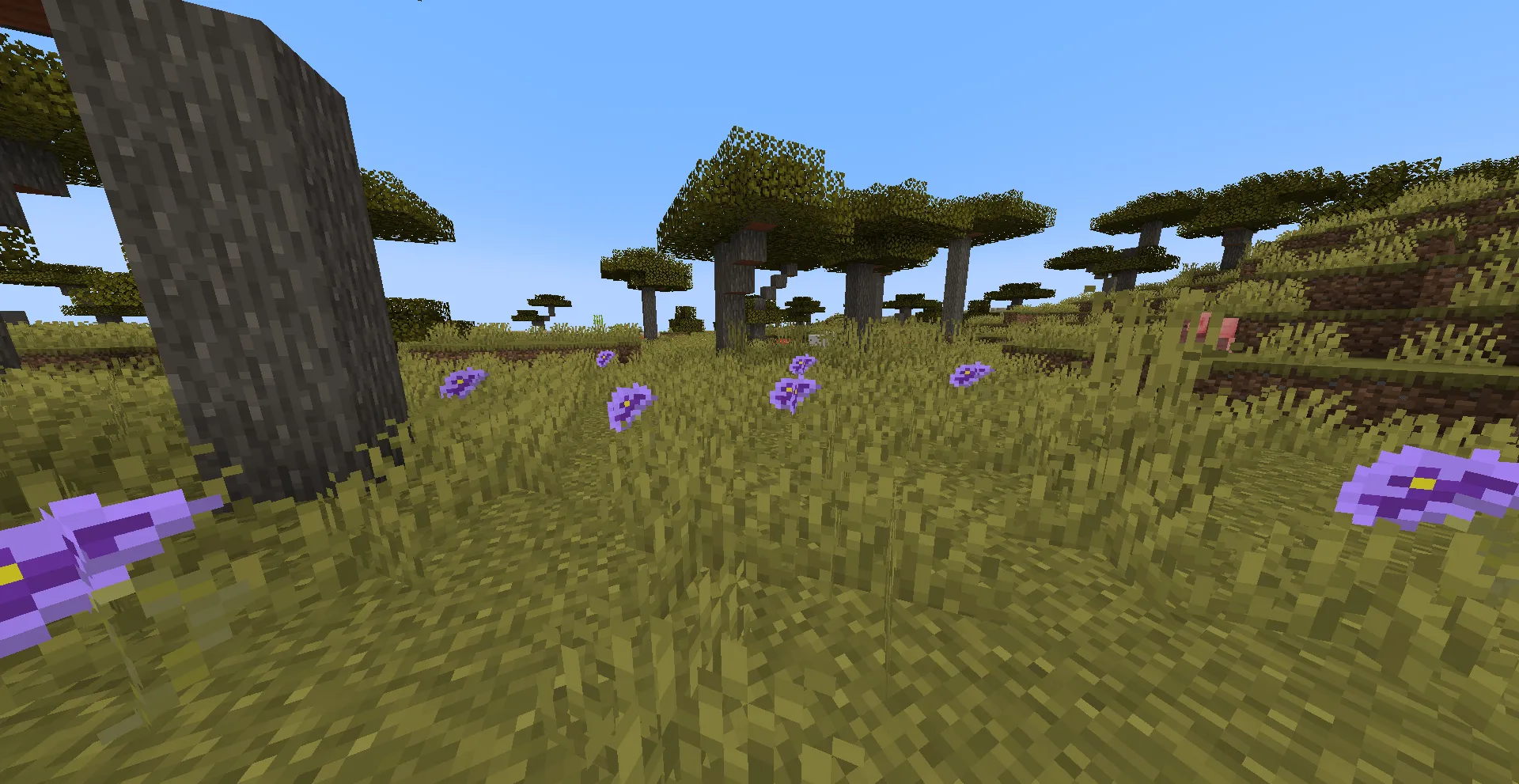 Flower Revolution, Моды, Minecraft