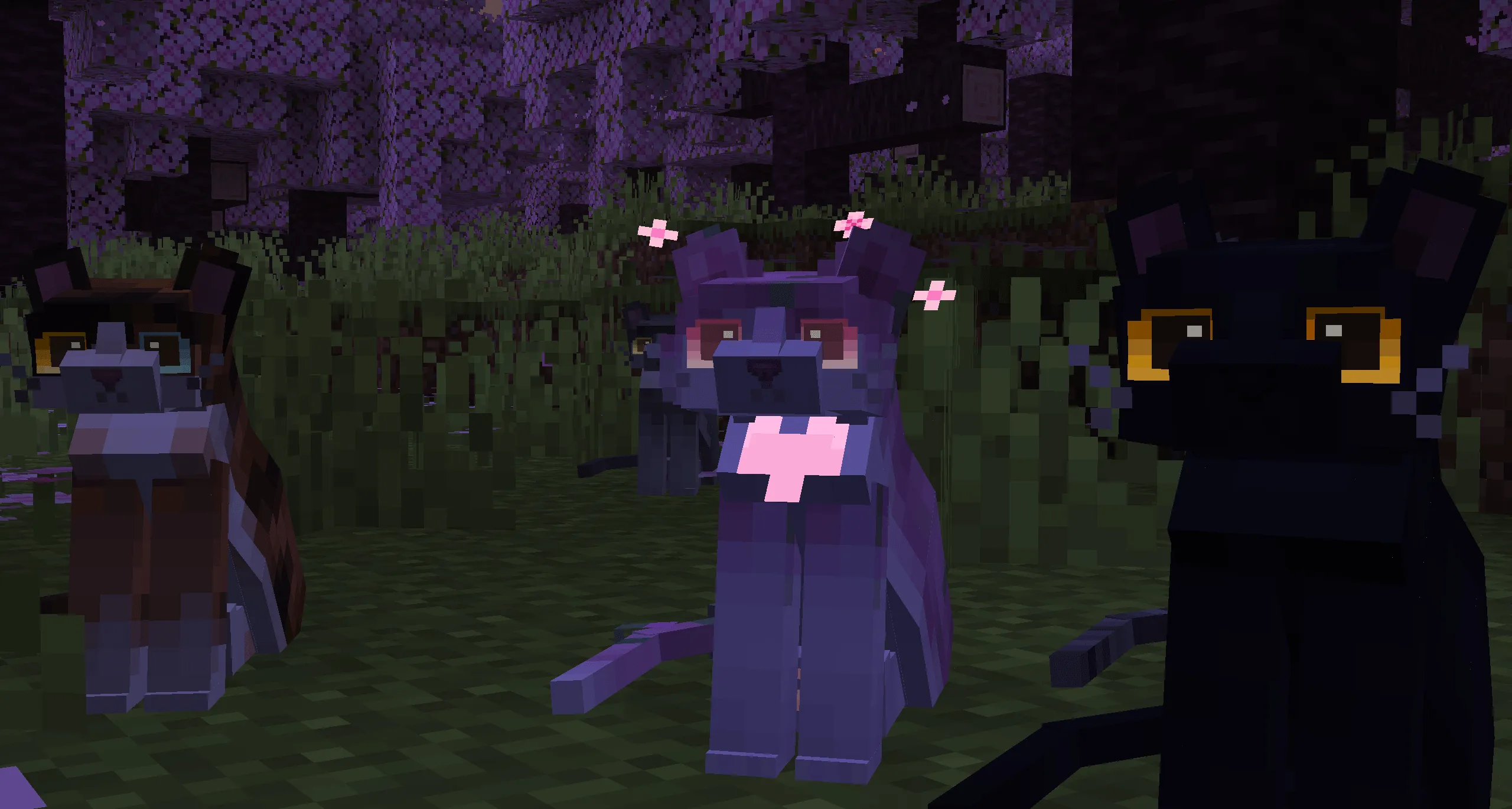 Refined Cats, Текстуры, Minecraft