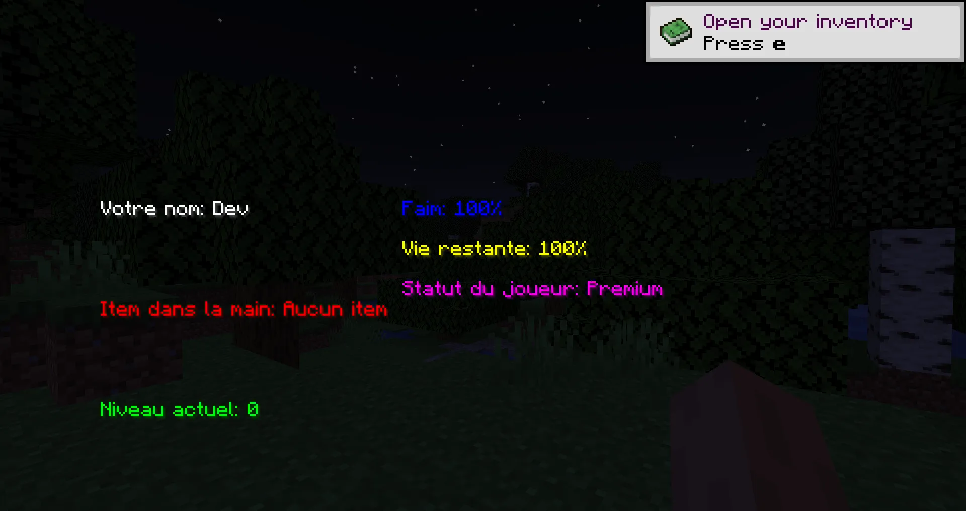 Skyr (display hud)  — скриншот 2 (Моды, Minecraft)