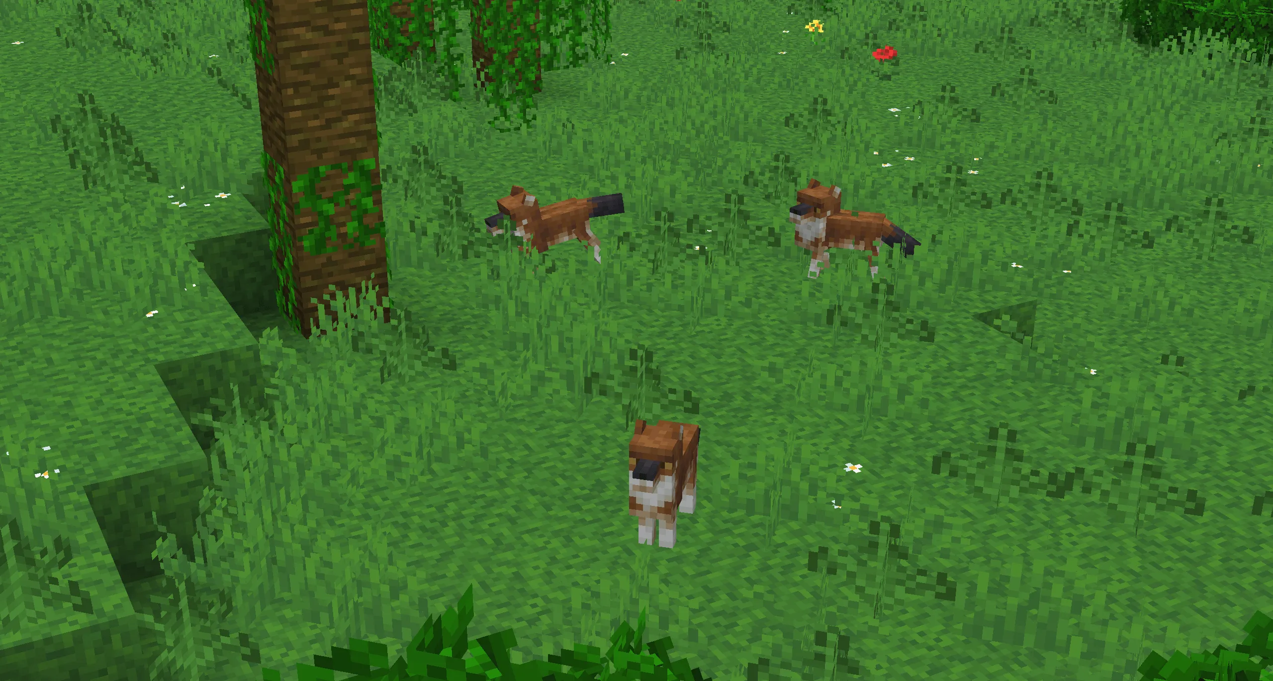 Acidul's Wolves [OPTIFINE/EMF] — скриншот 10 (Текстуры, Minecraft)
