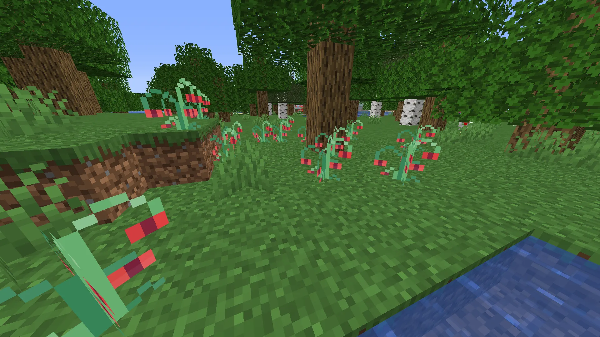 Funni Creatins, Моды, Minecraft