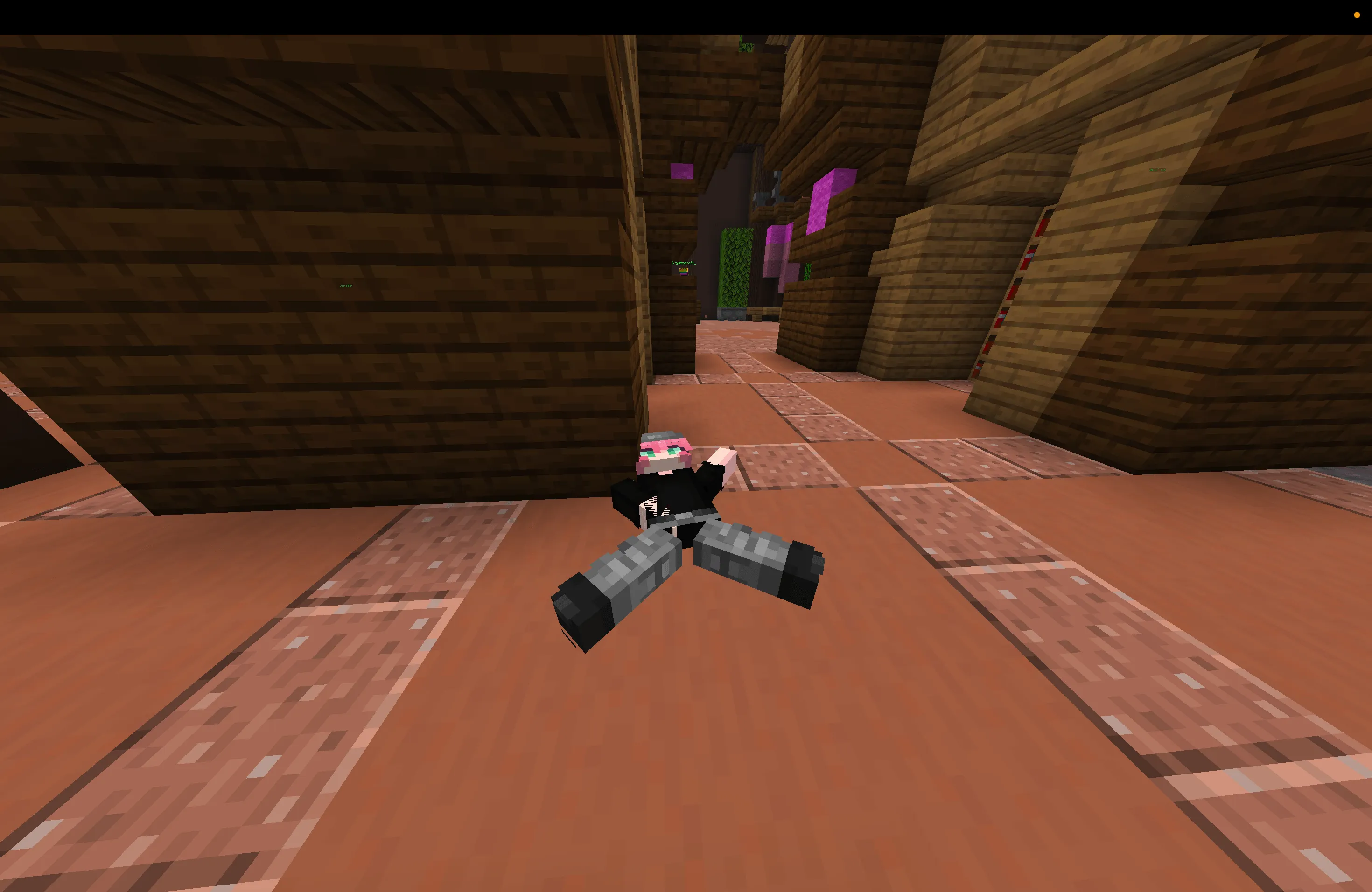 Ragdolls — скриншот 6 (Моды, Minecraft)