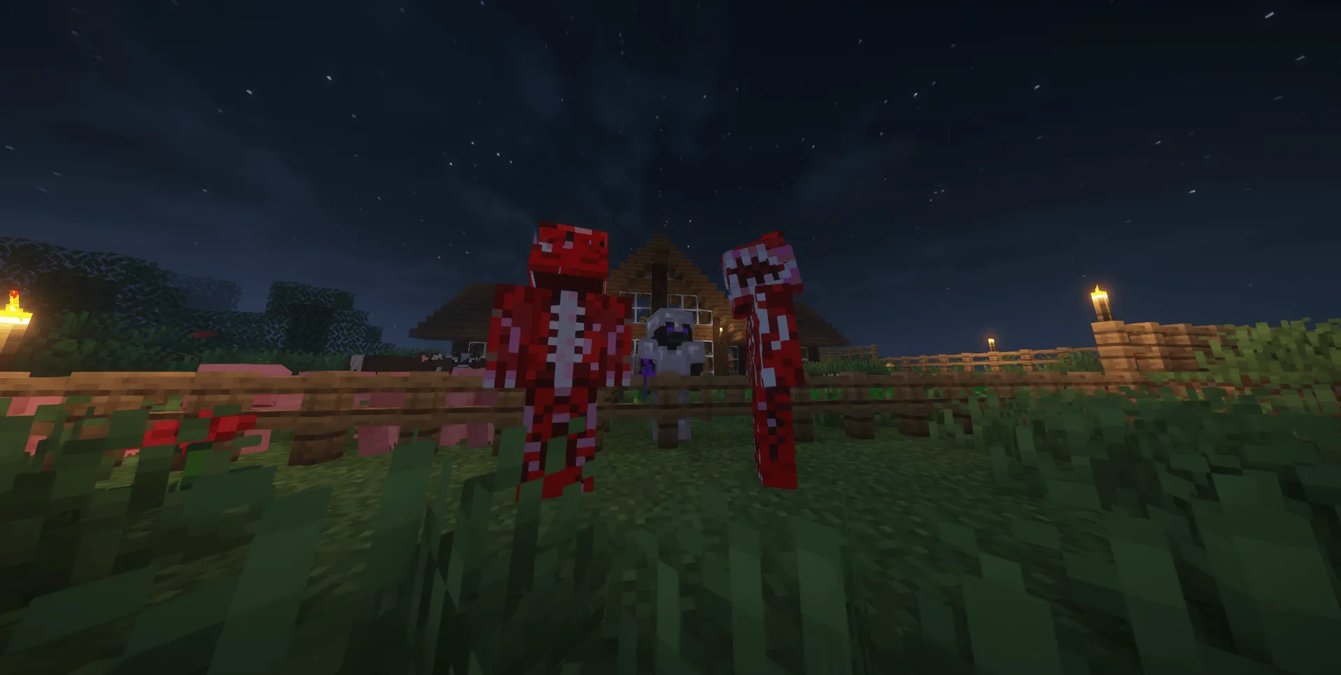 Vizer, Моды, Minecraft