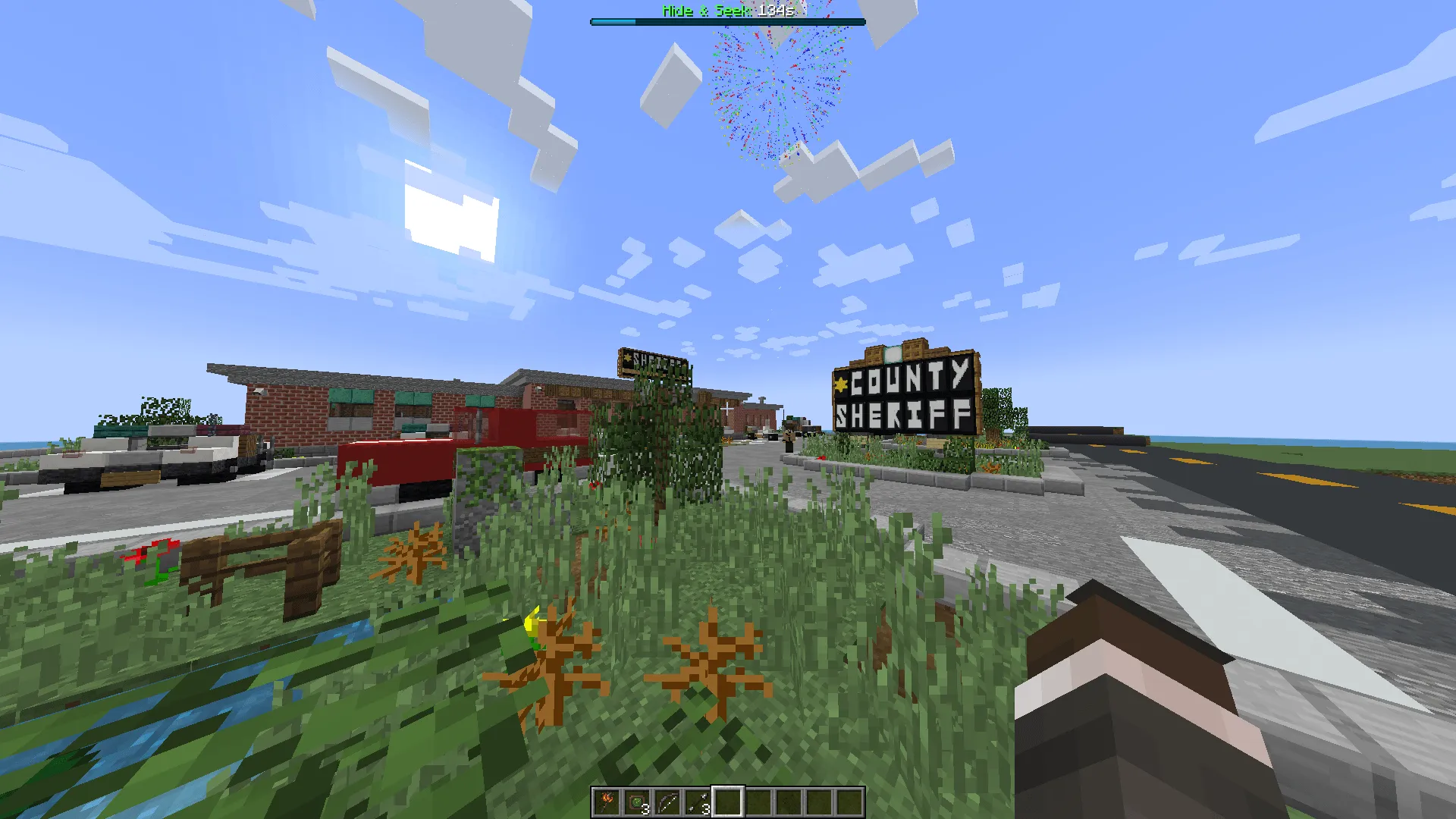 HideOSeek, Моды, Minecraft