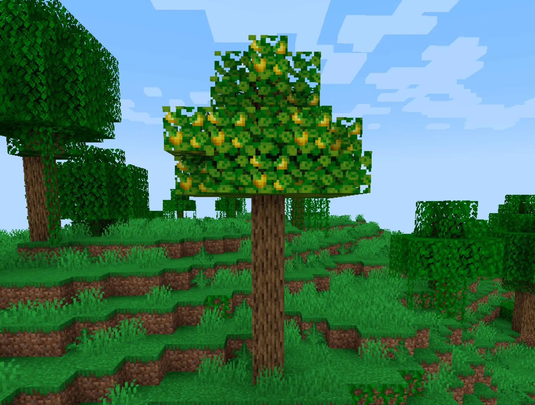 Brazilian Delight, Моды, Minecraft