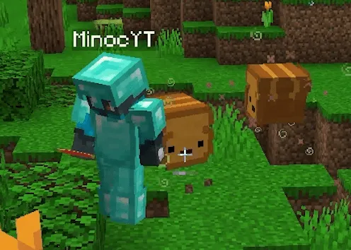 Minoc Dimension, Моды, Minecraft