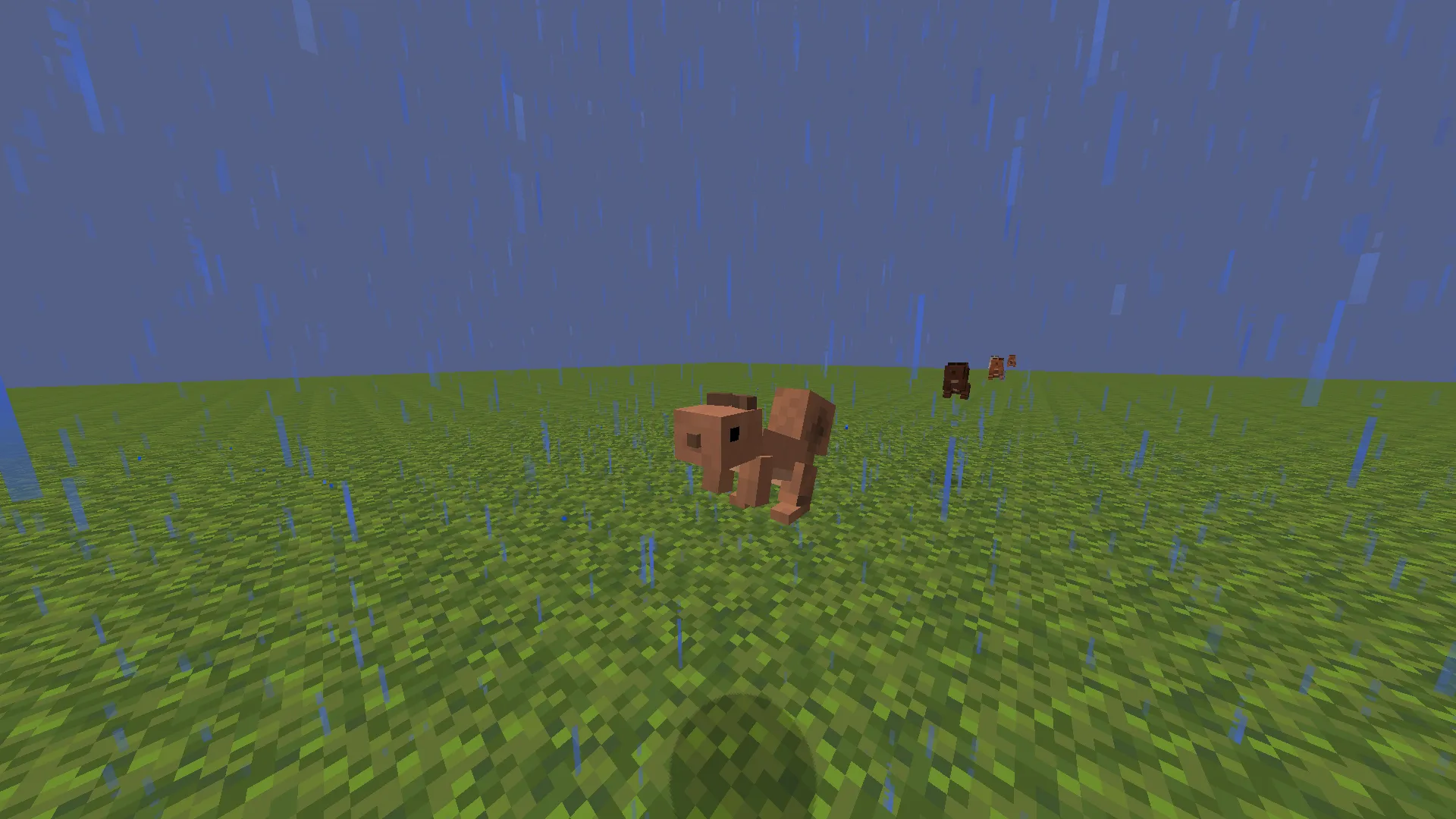 Squirrels — скриншот 1 (Текстуры, Minecraft)