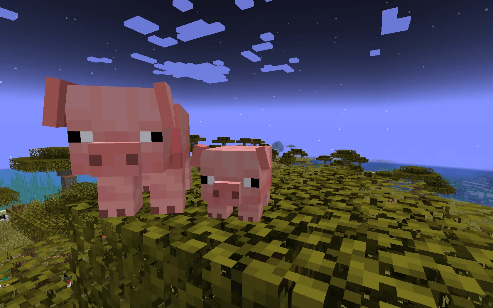 Kassy's Pigs, Текстуры, Minecraft