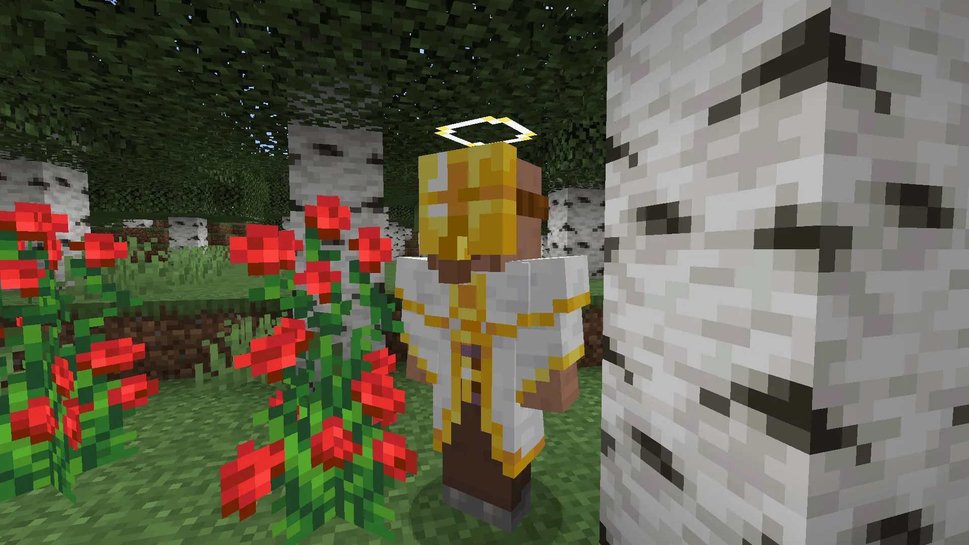 Wizards Help!-Iron's Spells 'n Spellbooks Addon, Моды, Minecraft