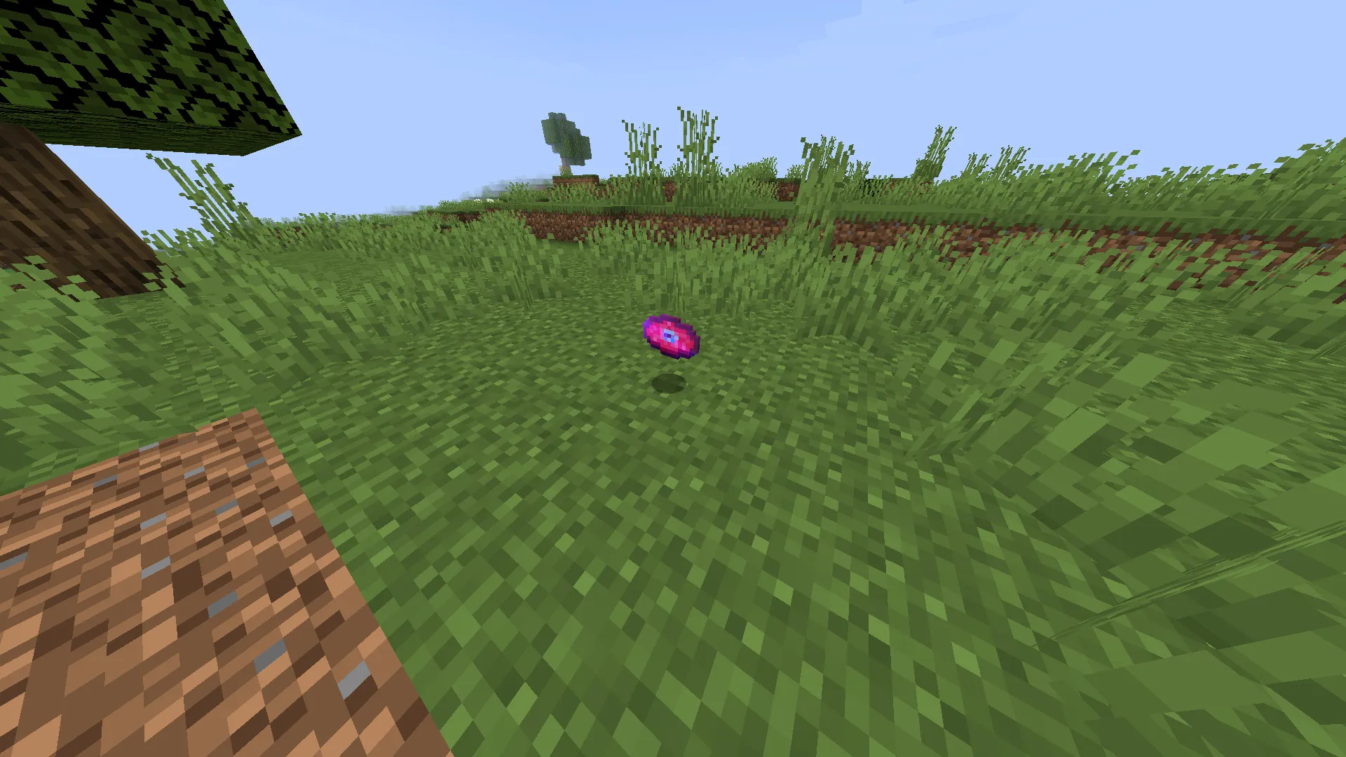 Amongus Dimension, Моды, Minecraft