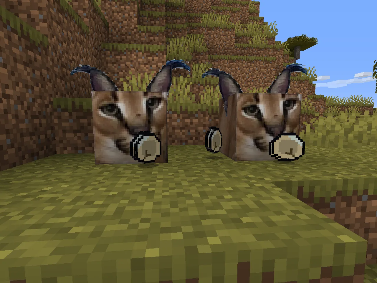 Floppa and dumplings — скриншот 1 (Моды, Minecraft)