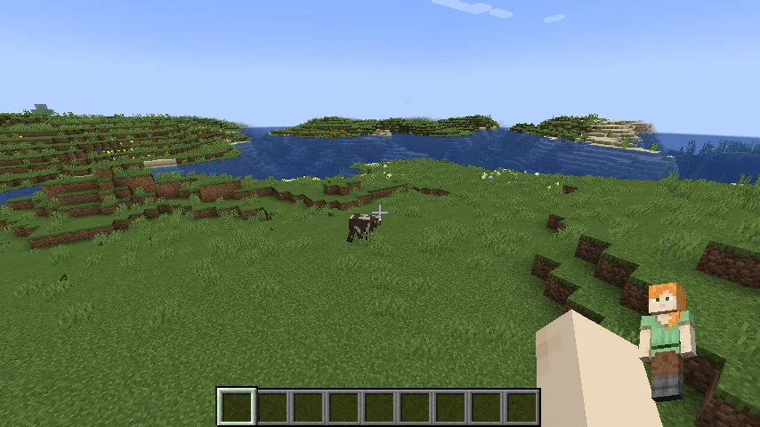 GuiCharacter, Моды, Minecraft