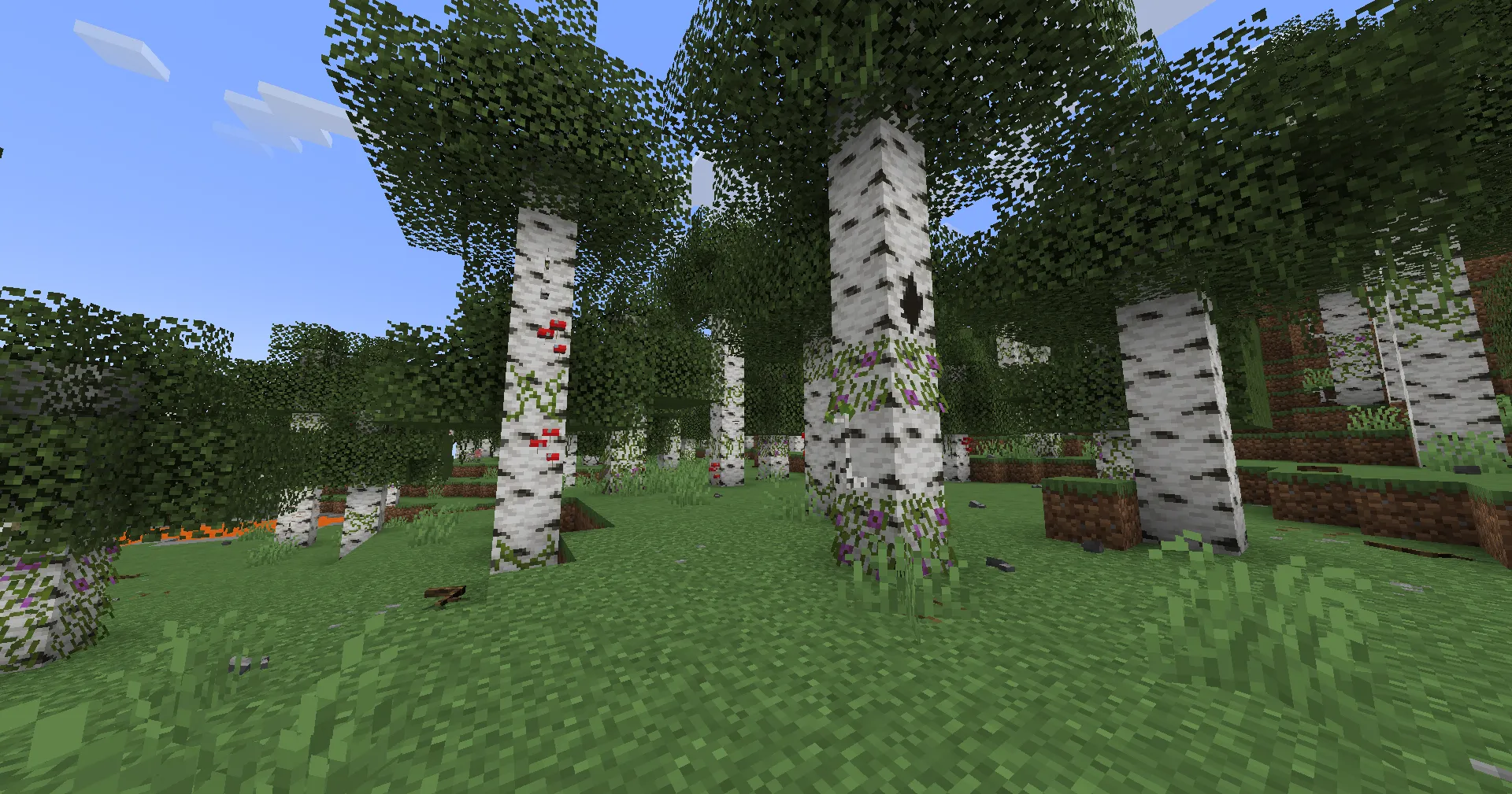 Musgo, Текстуры, Minecraft